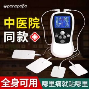 Portable electronic pulse massager
