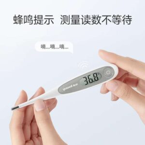 Digital thermometer